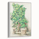 Impressionist Wall Art - Geraniums in Pots - Cezanne’s Botanical Art Print