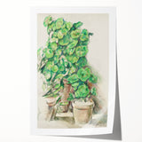 Impressionist Wall Art - Geraniums in Pots - Cezanne’s Botanical Art Print