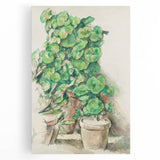 Impressionist Wall Art - Geraniums in Pots - Cezanne’s Botanical Art Print