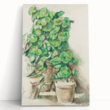 Impressionist Wall Art - Geraniums in Pots - Cezanne’s Botanical Art Print