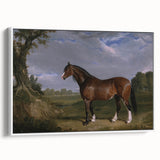 A Clydesdale Stallion by John Frederick Herring - Romantic Art Print