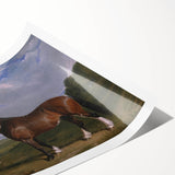 A Clydesdale Stallion by John Frederick Herring - Romantic Art Print