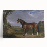 A Clydesdale Stallion by John Frederick Herring - Romantic Art Print