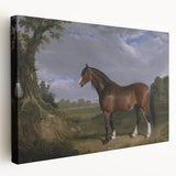 A Clydesdale Stallion by John Frederick Herring - Romantic Art Print