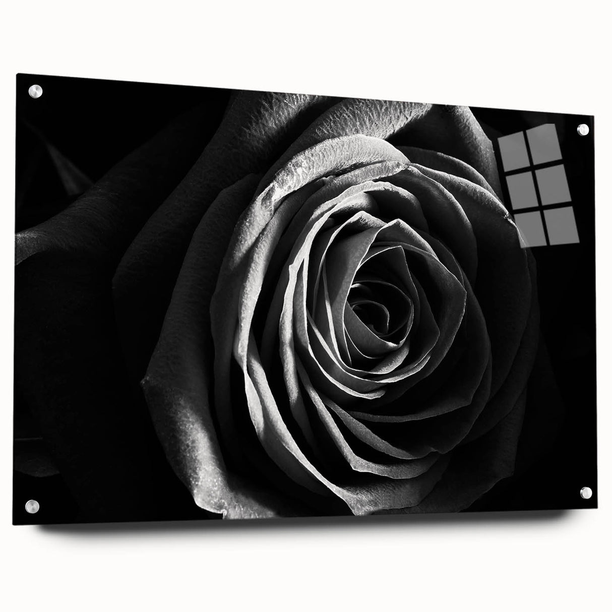 Abstract floral wall art piece displayed in an acrylic glass frame, showcasing vibrant colors and intricate designs. Side view highlights the secure pin fittings and elegant presentation, ideal for modern home decor.