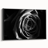 Framed wall art showcasing elegant abstract floral designs in vibrant colors, set against a sleek black background, ideal for modern home decor.