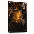 Large abstract wall art depicting autumnal trees in orange and brown tones on acrylic glass.