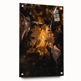 Large abstract wall art depicting autumnal trees in orange and brown tones on acrylic glass.