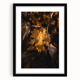 Extra large abstract art print featuring textured autumnal colors on a black framed canvas, ideal for living room decor.