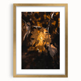 Extra large abstract art print featuring textured fall foliage in warm gold and orange tones, framed with a gold mat.