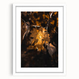 Abstract art print depicting autumnal trees in warm orange and red tones on a white framed canvas.