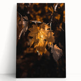 Large black and white stretched canvas depicting a minimalist tree in autumn, ideal for kitchen wall art or bedroom ambiance.