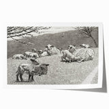 Realism Art Prints - Spring Lamb by Winslow Homer Pastoral Landscape Art
