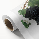 Black Canaiolo by Giorgio Gallesio - Romanticism Botanical Art Print