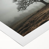 Abstract landscape wall art on rolled canvas showcasing vibrant colors and fluid shapes, perfect for modern home decor. Packaged securely in a cardboard tube for delivery.