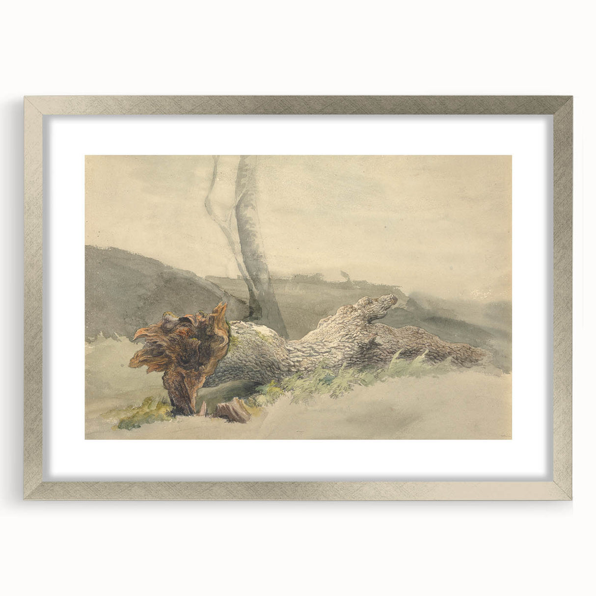 Realism Art Prints - The Fallen Tree Nature Study Canvas Art Print