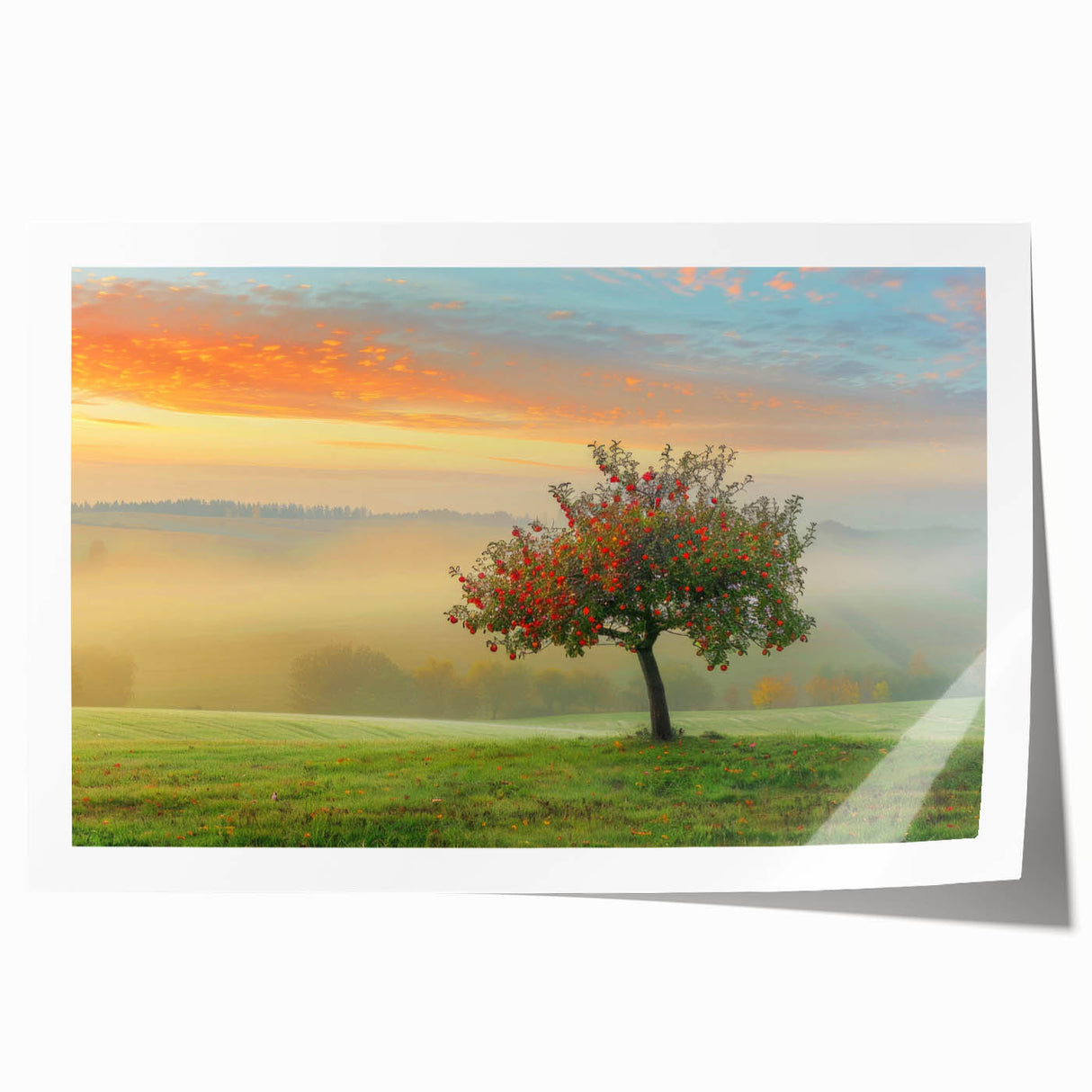 Abstract landscape wall art print featuring vibrant colors and fluid shapes, rolled for easy transport, ideal for modern home decor and artistic expression.
