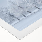 Abstract landscape wall art on rolled canvas displaying vibrant colors and fluid shapes, perfect for modern home decor; packaged securely in a cardboard tube.