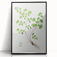 Realism Art Prints - Southern Maidenhair Fern by Edward Lowe Botanical Art