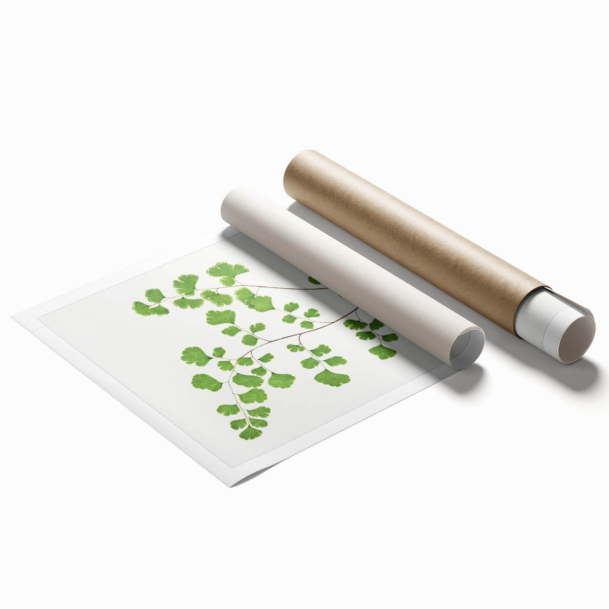Realism Art Prints - Southern Maidenhair Fern by Edward Lowe Botanical Art