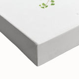 Realism Art Prints - Southern Maidenhair Fern by Edward Lowe Botanical Art