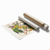 Carolina Parrot by Audubon - Romanticism Wildlife Art Print