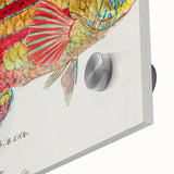 Realism Art Prints - Antique Fish Illustration by Fe. Clarke Vibrant Marine Art