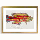 Realism Art Prints - Antique Fish Illustration by Fe. Clarke Vibrant Marine Art