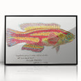 Realism Art Prints - Antique Fish Illustration by Fe. Clarke Vibrant Marine Art