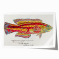 Realism Art Prints - Antique Fish Illustration by Fe. Clarke Vibrant Marine Art