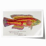 Realism Art Prints - Antique Fish Illustration by Fe. Clarke Vibrant Marine Art