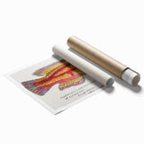 Realism Art Prints - Antique Fish Illustration by Fe. Clarke Vibrant Marine Art