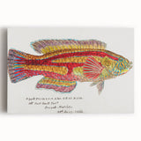 Realism Art Prints - Antique Fish Illustration by Fe. Clarke Vibrant Marine Art
