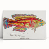 Realism Art Prints - Antique Fish Illustration by Fe. Clarke Vibrant Marine Art