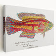 Realism Art Prints - Antique Fish Illustration by Fe. Clarke Vibrant Marine Art