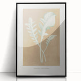 Classic Romantic Paintings: Centaurea Candidissima - Botanical Art Print