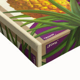 Colourful Queensland Retro Travel Poster | Tropical Fruit & Flowers Art