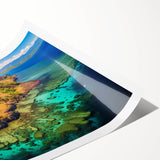 Extra large rolled print of a Madagascar landscape with line art flowers in soft earth tones.