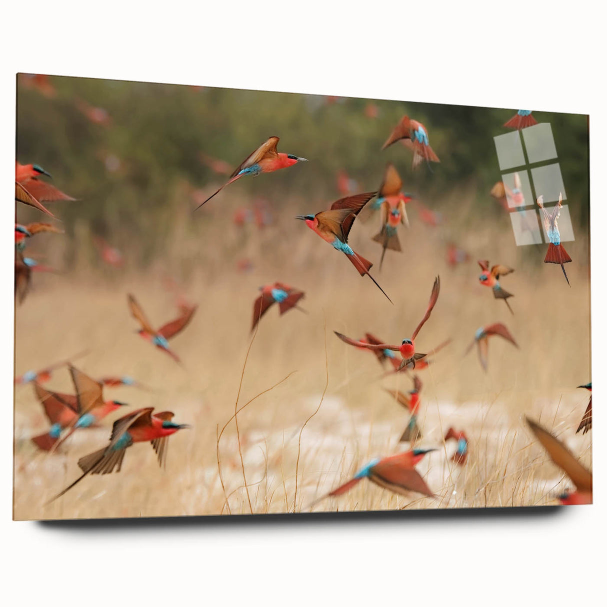 Large abstract wall art depicting the Namibian landscape in muted earth tones, printed on acrylic glass.