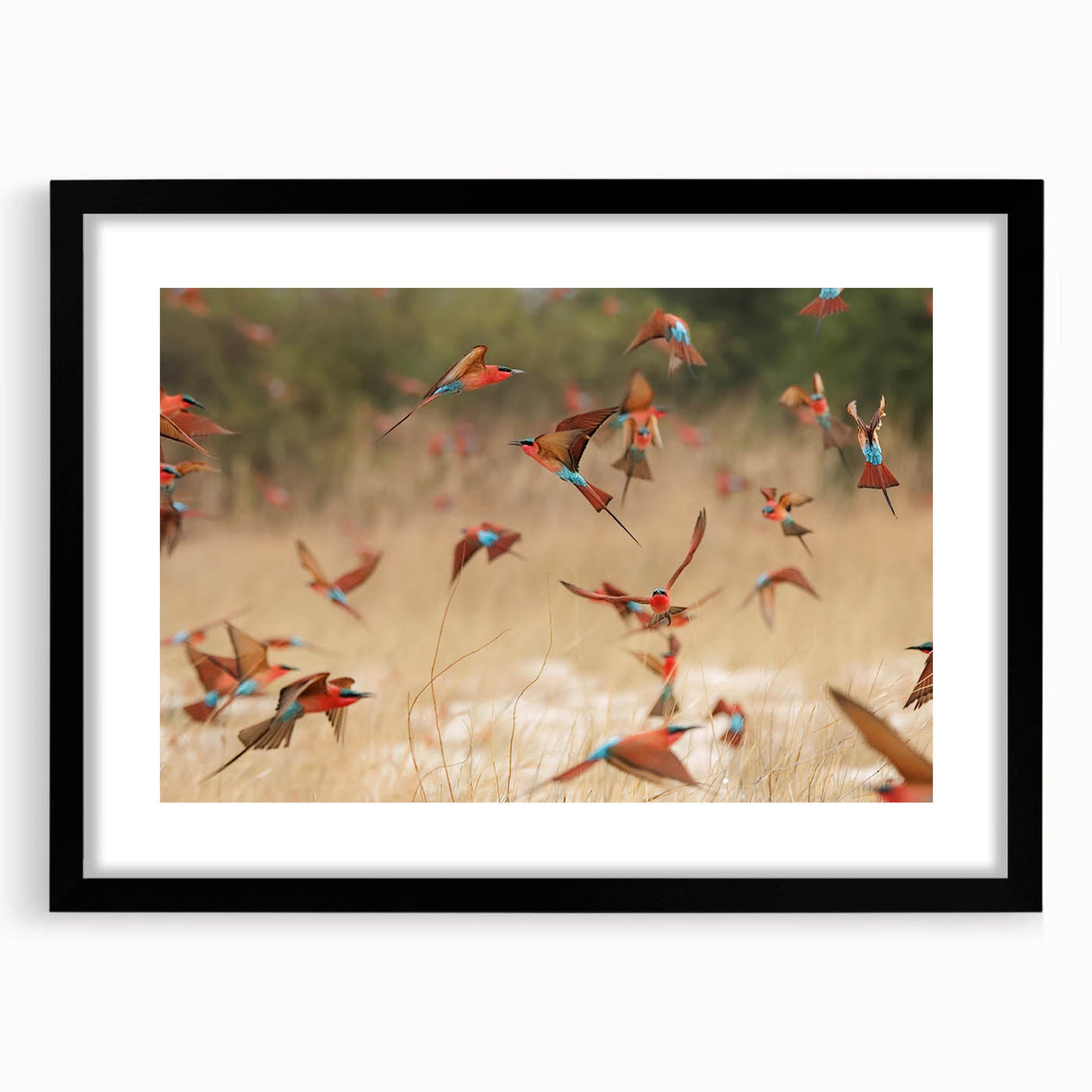 Extra large abstract art print of a colorful, textured African scenery on a black framed canvas, ideal for living room decor.