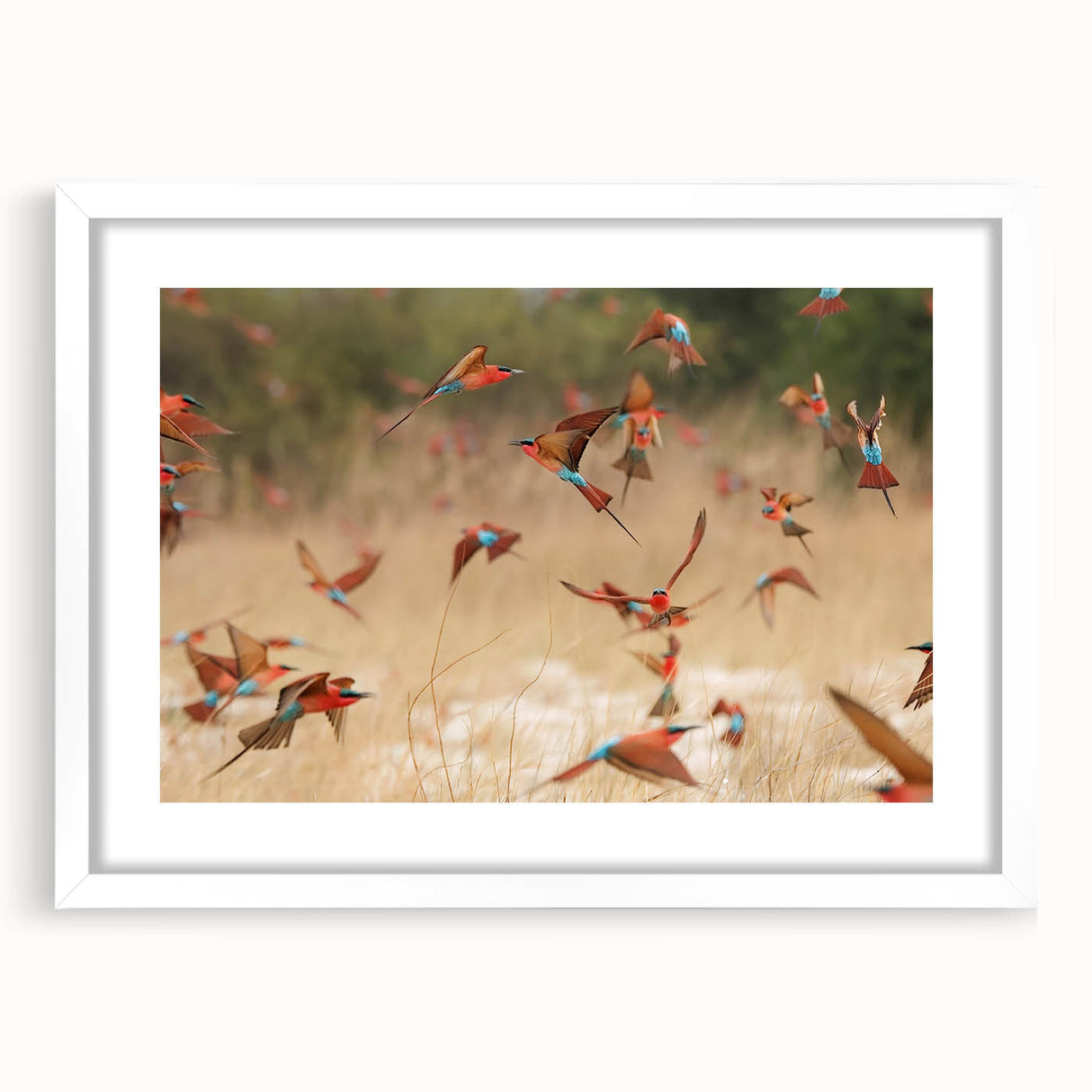 Extra large white-framed abstract art print featuring textured scenery of Namibia, ideal for living room decor.