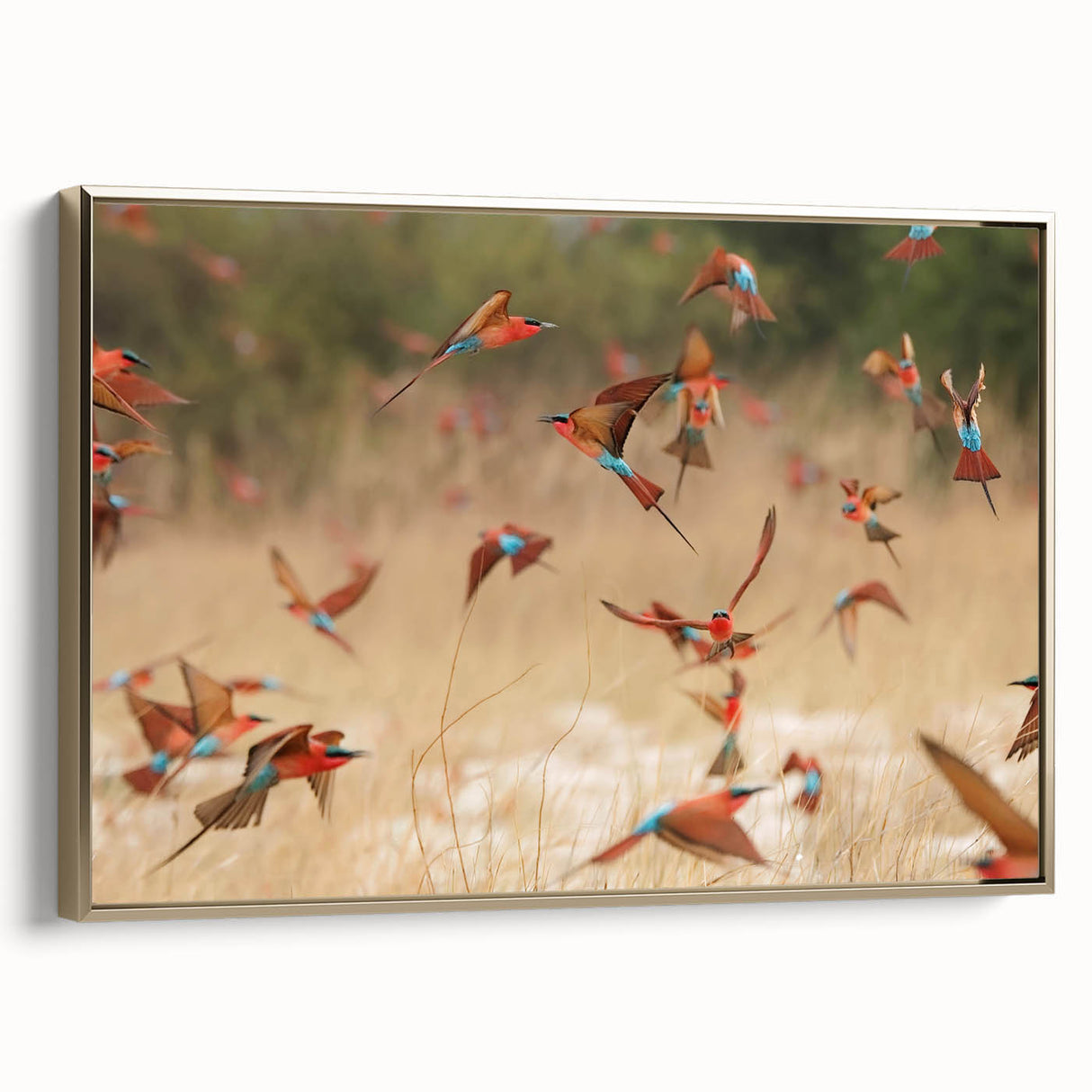 Vintage poster art of a Namibian landscape on framed canvas, featuring a blend of gold and black tones.