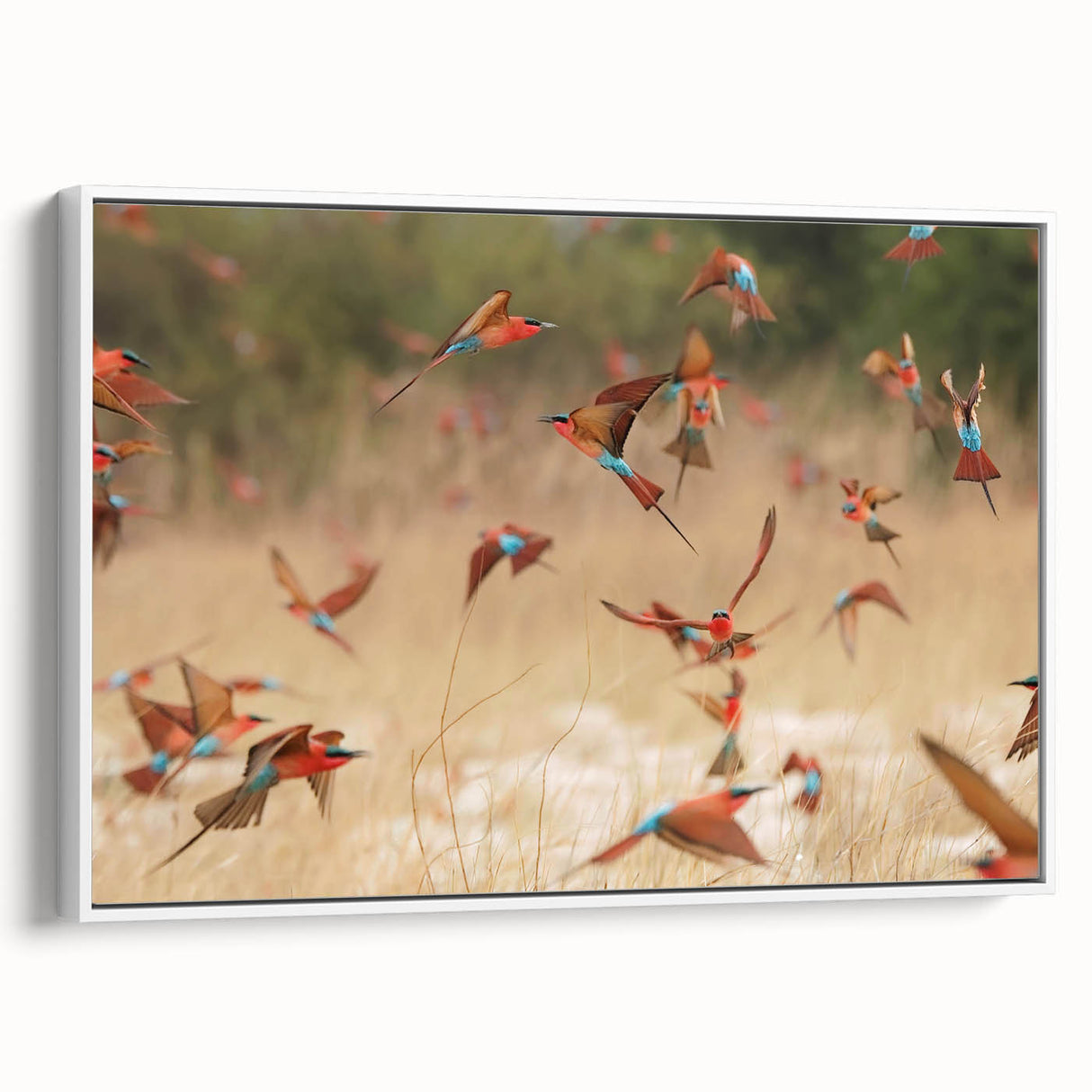 Framed canvas of a Namibian landscape, featuring vibrant colors on a white background, ideal for living room decor.