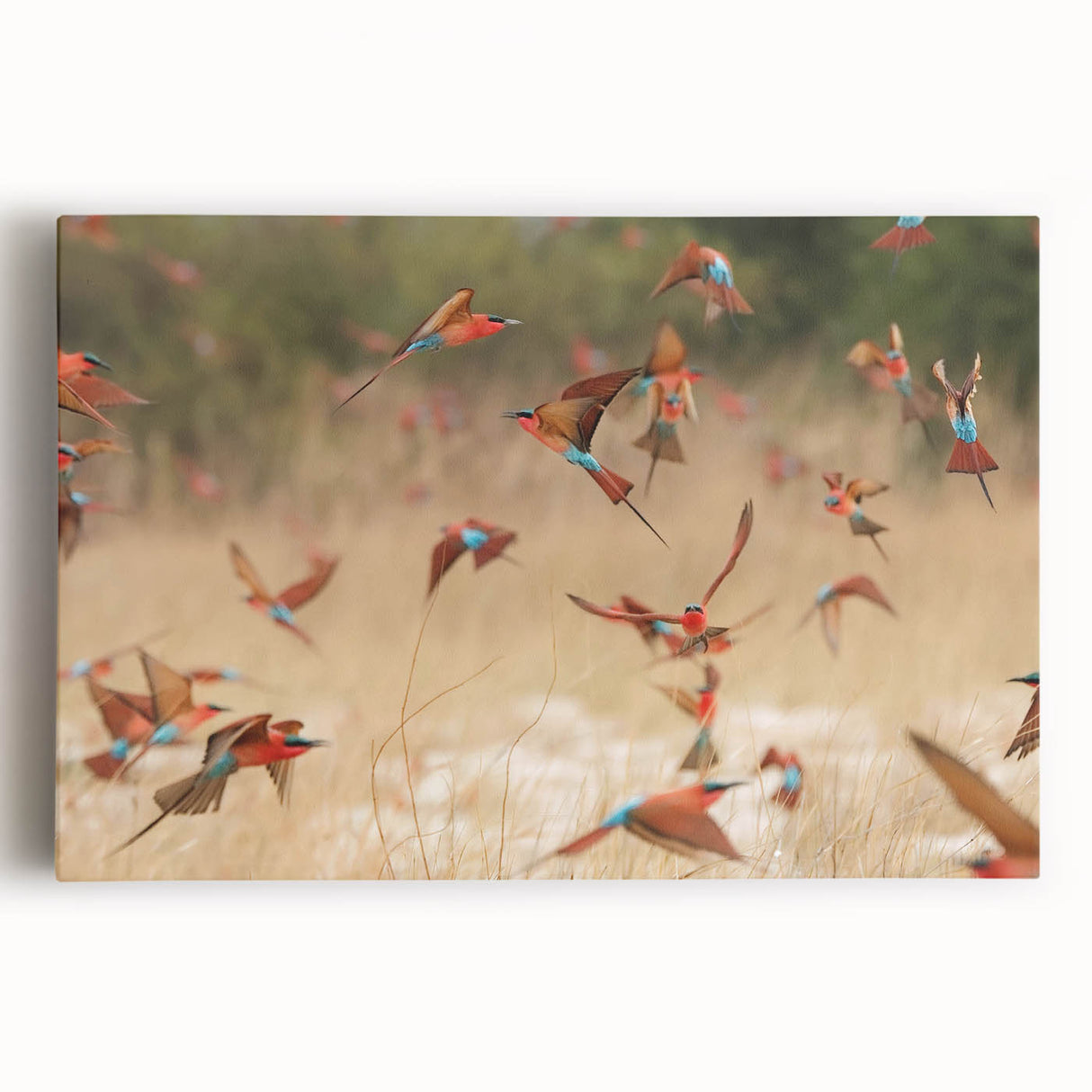Large black and white photograph of Namibian landscape on stretched canvas, ideal for kitchen wall art.