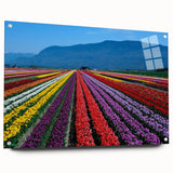 Acrylic print of a British Columbia landscape in muted earth tones, ideal for dining room ambiance.