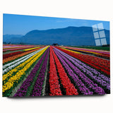 Large abstract wall art depicting a serene British Columbia landscape in muted earth tones on acrylic glass.