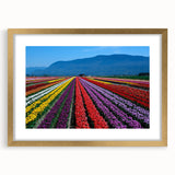 Extra large framed wall art depicting an abstract textured scenery of British Columbia in muted earth tones.