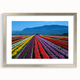 Textured art depicting abstract scenery of British Columbia in muted green and blue tones, framed with a silver mat.