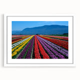 Abstract art print of British Columbia scenery in muted earth tones on a framed canvas, ideal for dining room decor.