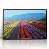 Large abstract wall art depicting a serene British Columbia landscape in muted earth tones on a framed acrylic print.